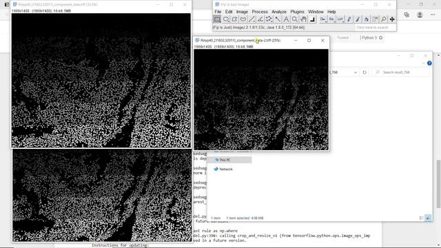 Deep learning-based segmentation for biologists - Processing - Mask R-CNN смотреть онлайн