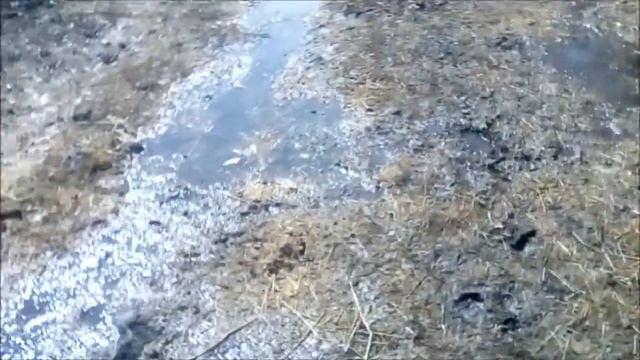 Чувашия Игнатьев реалите шоу смотреть онлайн