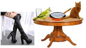 Занимательный русский язык. Что стоит, а что лежит?