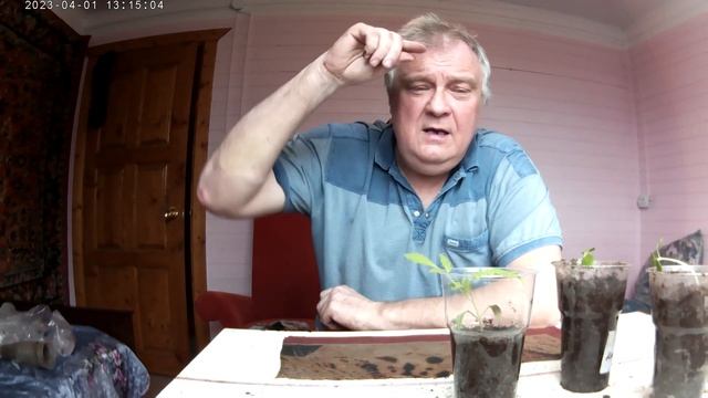 26 Рассада смотреть онлайн