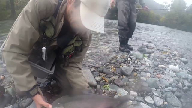 Flyfishing Kamchatka Icha River