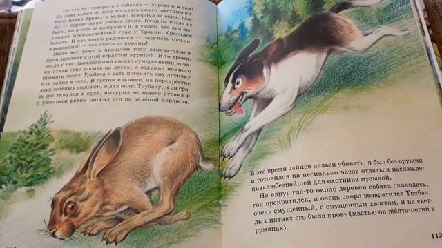 Михаил Пришвин. РАССКАЗЫ О ЖИВОТНЫХ. "Пиковая Дама". смотреть онлайн