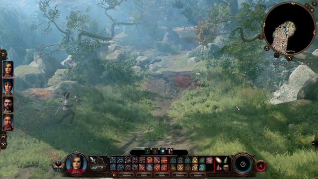Baldur's Gate 3 Patch 7: What happens if you attack the Hag before talking with Mayrina's brothers? смотреть онлайн