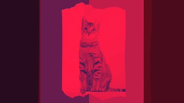 Звуки (Расслабляющие кошки) смотреть онлайн