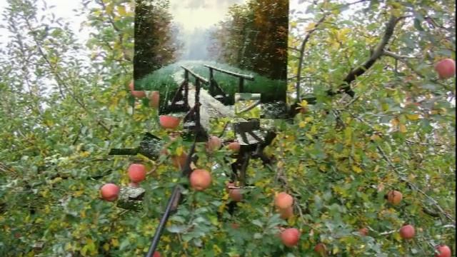 Александр Михель - Домик окнами в сад смотреть онлайн