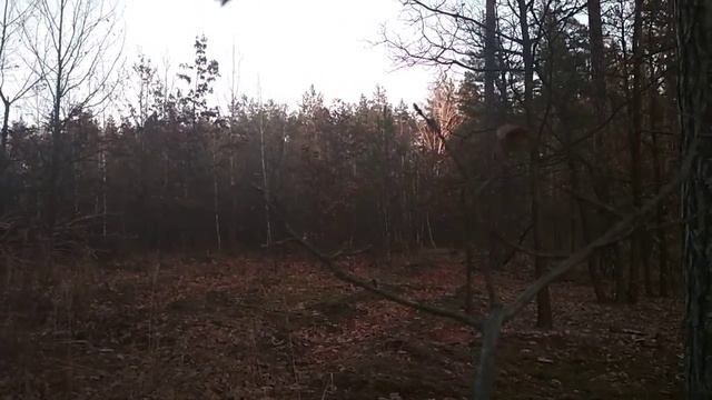 19 декабря З новим роком Іван Франко смотреть онлайн