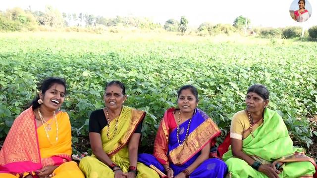ಸೊಬಾನಪದ||sobanapada||karunada sobagu смотреть онлайн