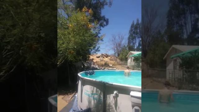 Polar Plunge challenge/ worst fidget spiner смотреть онлайн