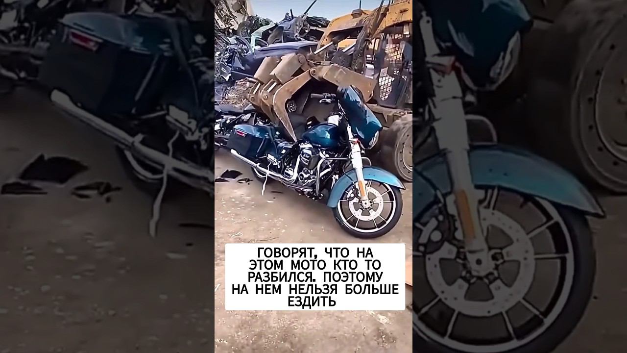 ЖАЛКО МОТ смотреть онлайн