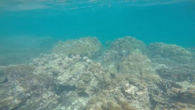 Snorkling in Koh Ngai смотреть онлайн