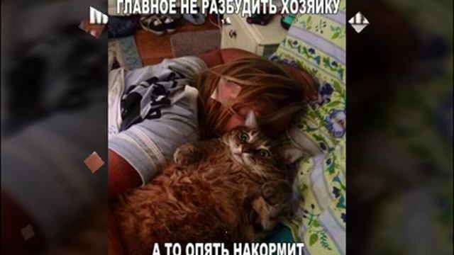 Приколы в картинках! смотреть онлайн