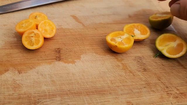 Comparing Kumquats - Nagami Vs Calamondin/Calamansi
