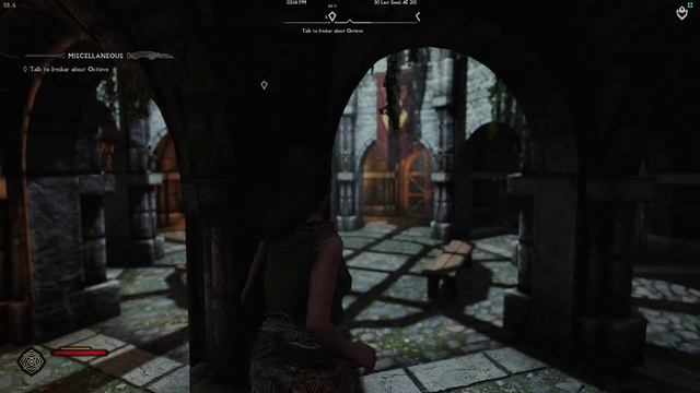 Skyrim SE Ultra Modded 2023 / Legacy of the Dragonborn / Cabbage Enb + NAT III - ep. 10 смотреть онлайн