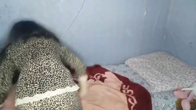 Это должна знать каждая!) ? 10 лайфхаков для девочек!) ? смотреть онлайн