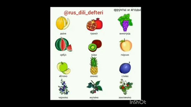 Rusça Meyveler