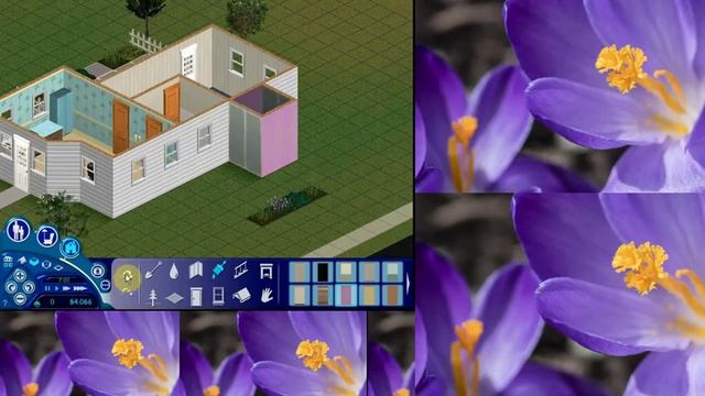 Teneis que ver este video???? смотреть онлайн