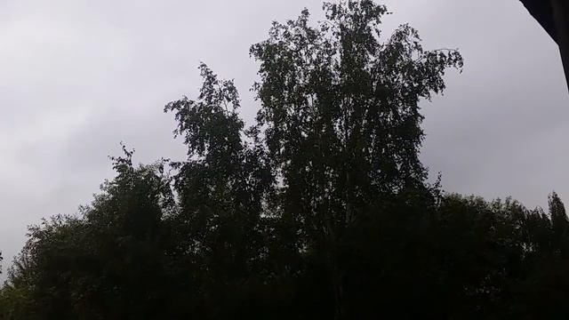 Сегодня друзья мои 26 августа 2021 года наступила осень как прогнозировал волшебник смотреть онлайн