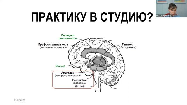Эмоциональное выгорание у матерей. Базовые настройки мозга и нейроинтеграция смотреть онлайн