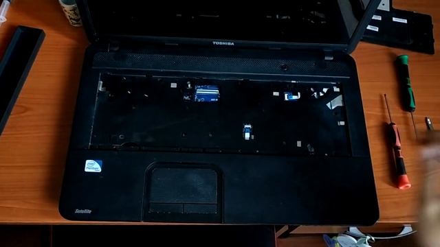 Toshiba Satellite c870-1FE // Disassembly gudie смотреть онлайн