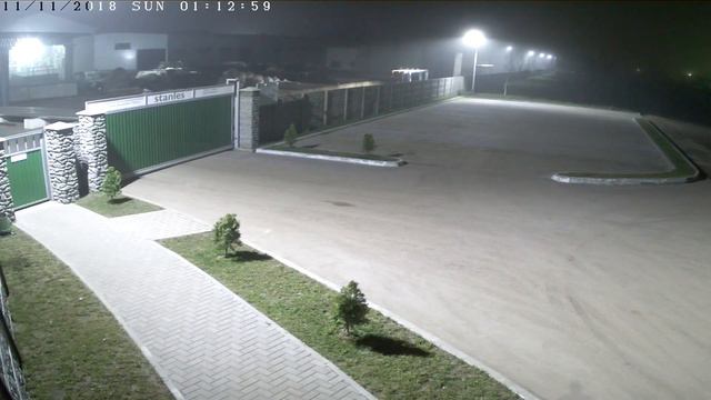 Заяц на Stanles