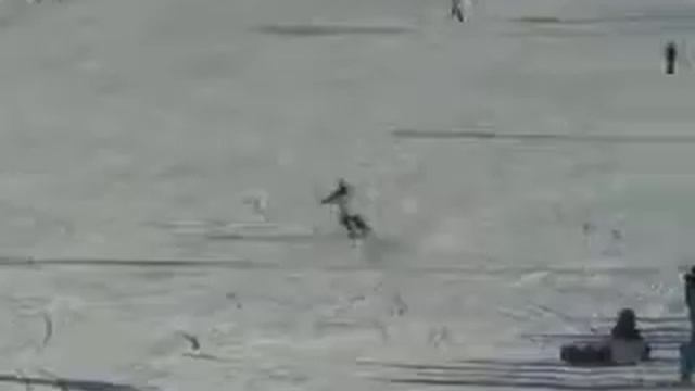 alpin ski смотреть онлайн