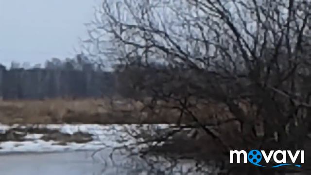Вода пришла...болтаю о жизни😉 смотреть онлайн