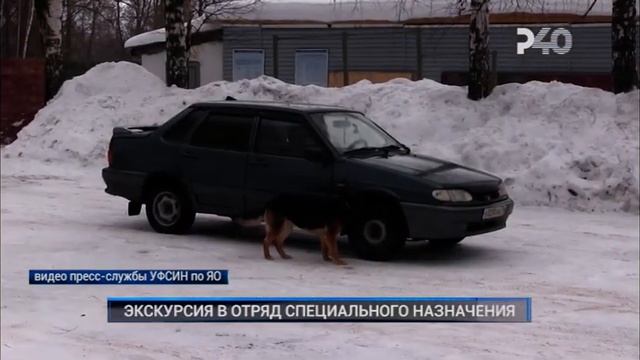 ЭКСКУРСИЯ В ОТРЯД СПЕЦИАЛЬНОГО НАЗНАЧЕНИЯ смотреть онлайн