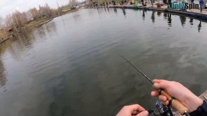 Безлимит ЛАГУНА-Еганово. Ловля форели. Рыбалка с #OnlySpin