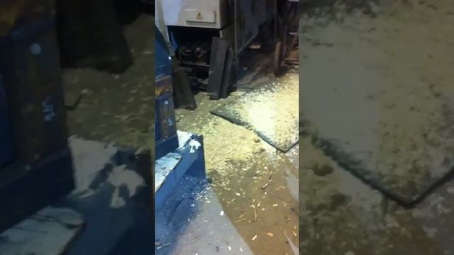 щепа для арболита игольчатая ,первый запуск щепореза с бензиновым двигателем смотреть онлайн