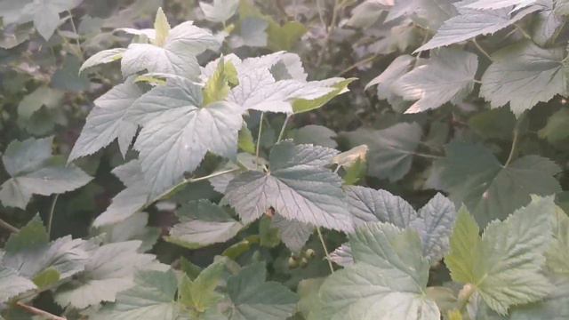 Наконец то переехали. Кто такое делает? Пока думаю.