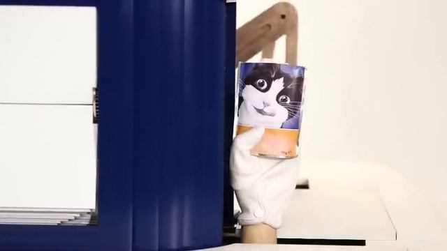 Felix Sensations Crunchy - Purina