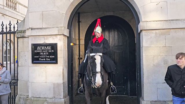 POLICE And TOURISTS Are SHOCKED After This Happens With The King's Guard At Horse Guards!