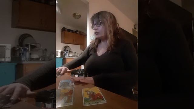 tarot for insight Uncivil Siblings смотреть онлайн