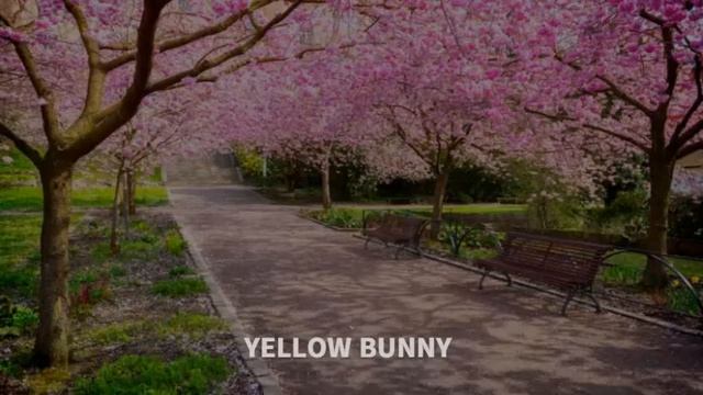 KANG SUNG HOON //MY LOVE SUB ESP