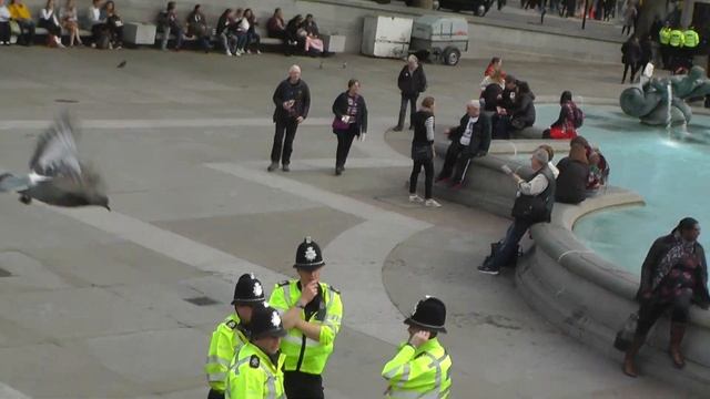 г.Лондон Трафальгарская площадь. смотреть онлайн