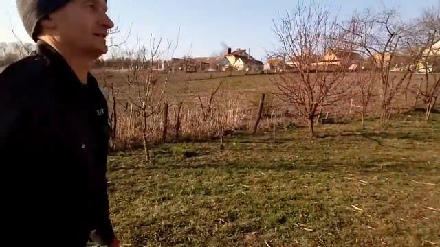Заготівля та продаж очерету, с. Вишняки смотреть онлайн