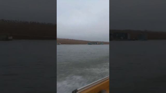 Рыбалка в Астрахани, 4 декабря, промысловики закрыли сезон. #топ#fishing#рыбалка#кайф#топчик#short смотреть онлайн