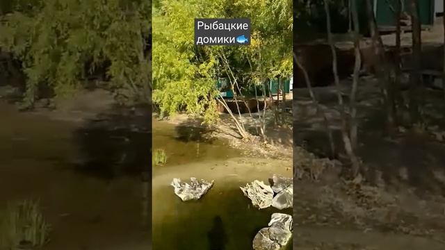 Рыбалка Рыбацкие домики Лысогорка смотреть онлайн