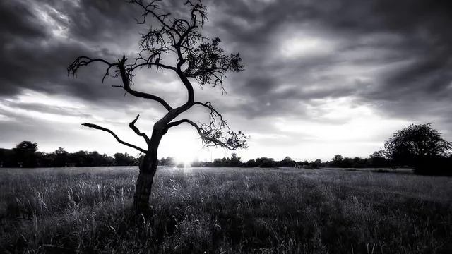 Massive Attack - Superpredators (jackal remix) смотреть онлайн