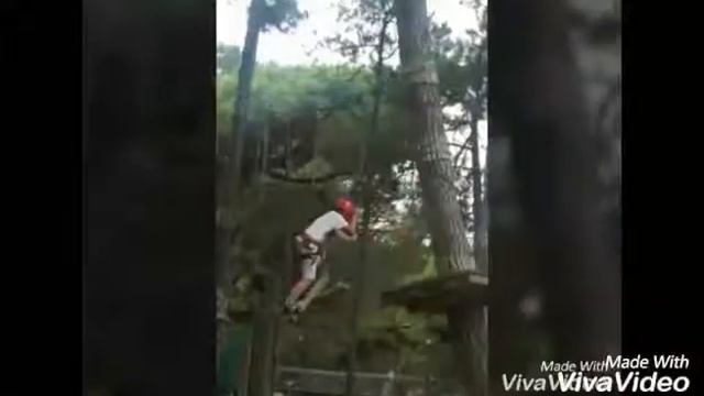 ЗООПАРК и пандапарк в Линьяно (Италия) смотреть онлайн