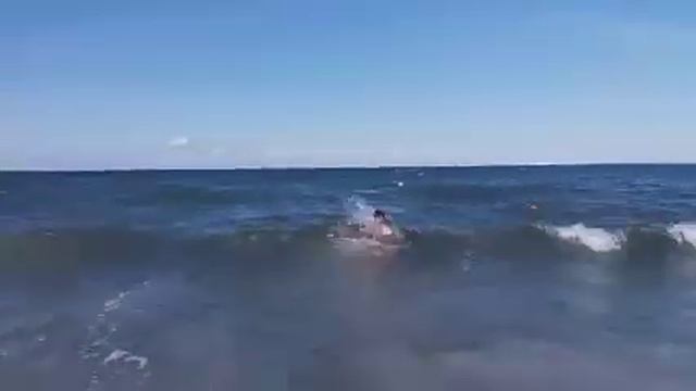 Овбози шахбоз дар Гданьск море смотреть онлайн