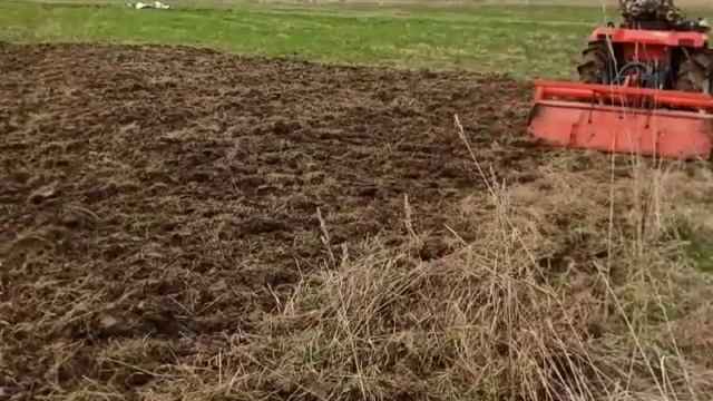 Пасмурный денёк Kubota Saturn X24