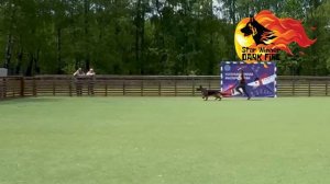 Стар Виннер ДАРК ФАЙЕР - Победитель среднего класса в Беларуси 2024