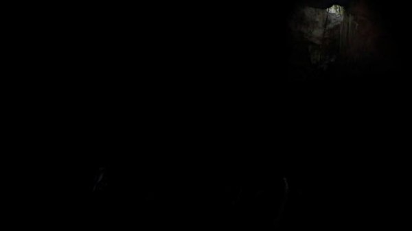 FILM CRUX Megabundle - Persephone