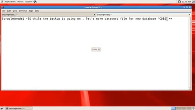 oracle 12c duplicate multitenant database смотреть онлайн