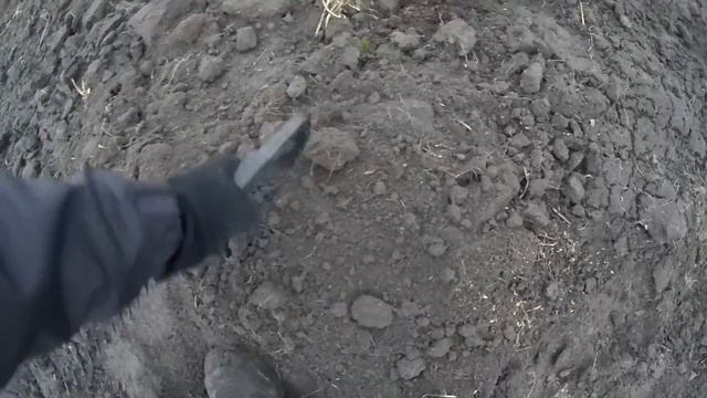 Жирные находки на любимом поле. Коп 2020 с XP DEUS. смотреть онлайн