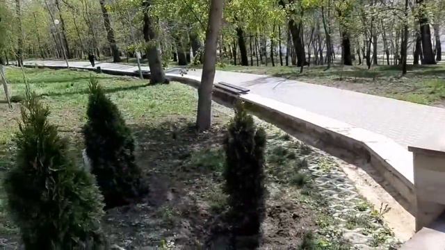 Прогулка пшеничного терьера смотреть онлайн