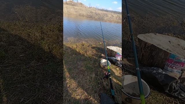 Рыбалка на закидушку Хороший клёв ! смотреть онлайн