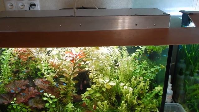 Светильник , спектр и мощность света. смотреть онлайн