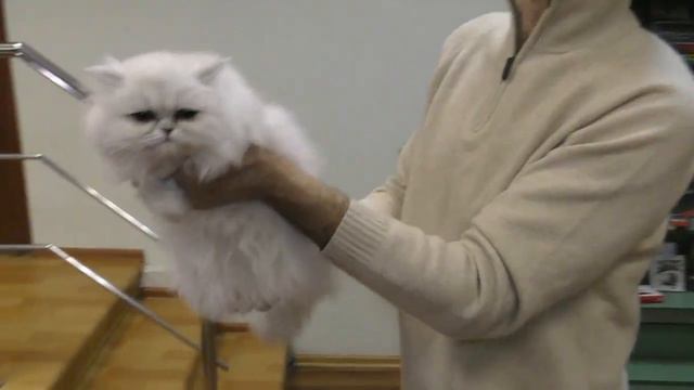 С Новым годом!!! смотреть онлайн